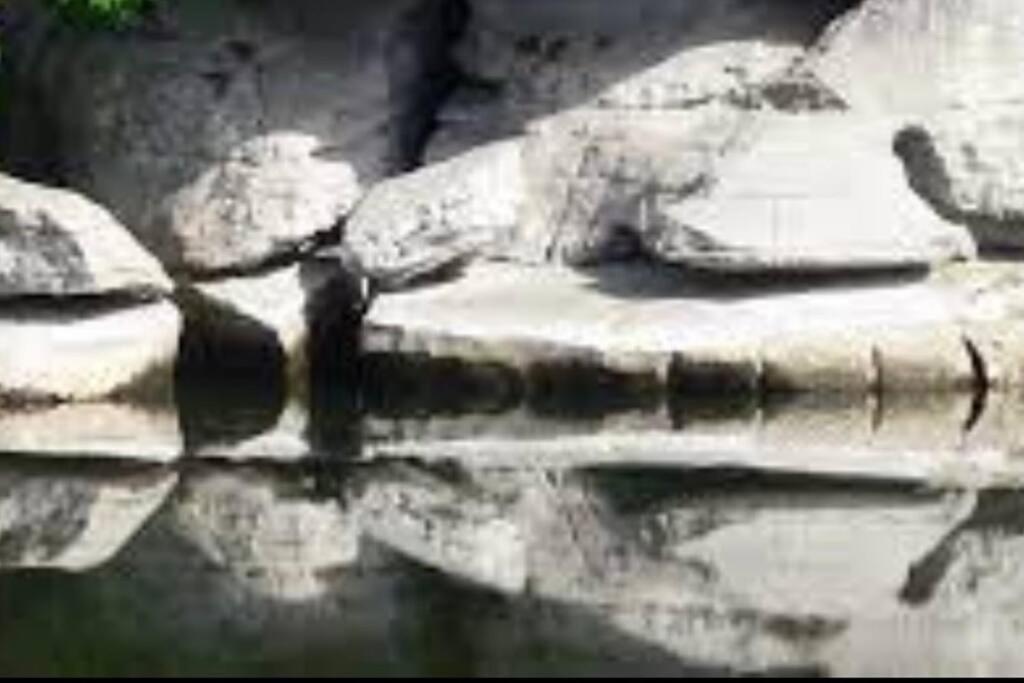La O'Liso Gorges De L'Ardeche Villa ซาลาวาส์ ภายนอก รูปภาพ